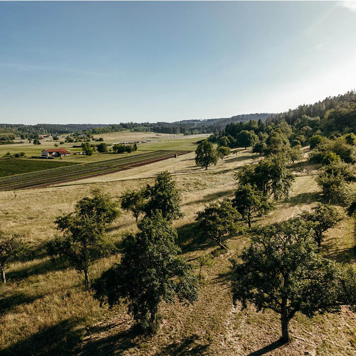 Spatenstich für ein Quartier mit Weitblick